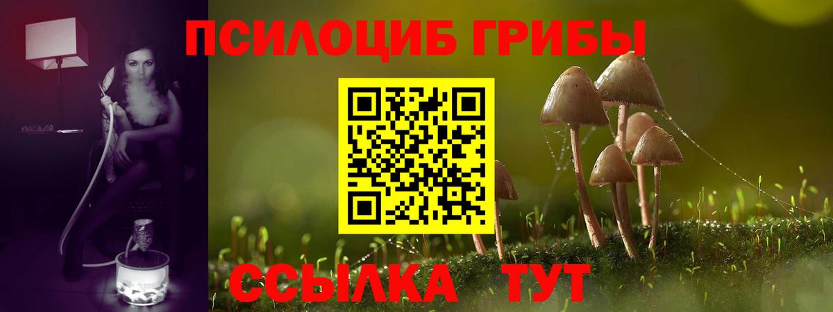 Псилоцибиновые грибы Cubensis Чебоксары